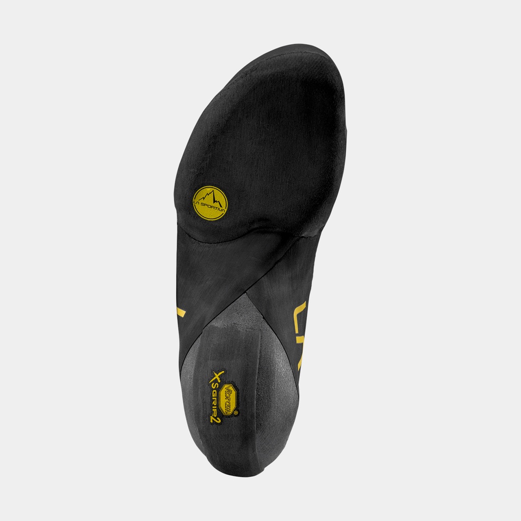 Theory (2025) Yellow / Black