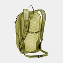 Speed Lite 13 Linden Cactus