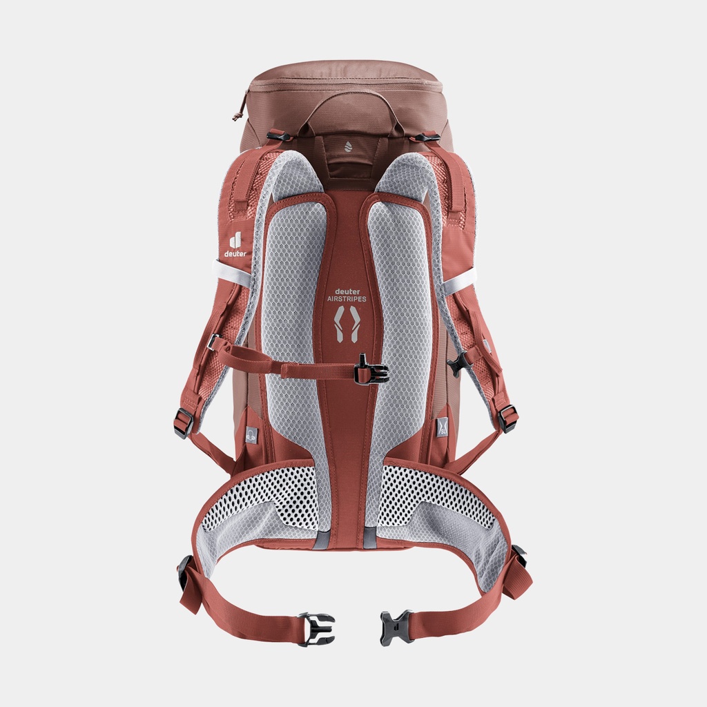 Speed Lite 13 Linden Cactus