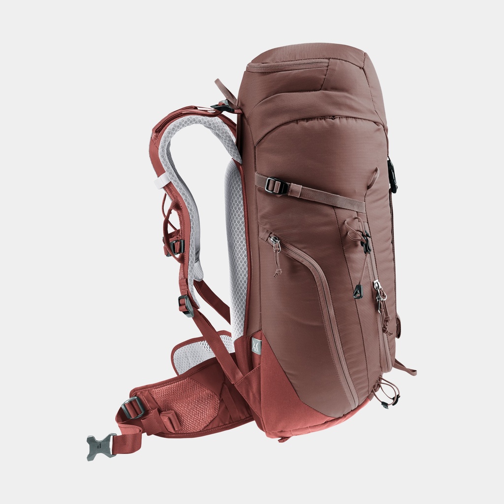 Speed Lite 13 Linden Cactus