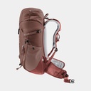 Speed Lite 13 Linden Cactus
