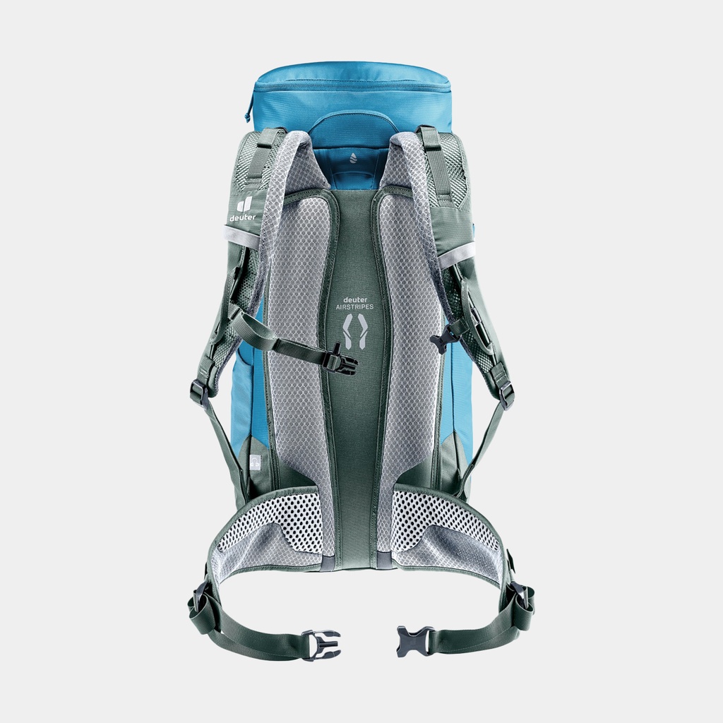 Speed Lite 13 Linden Cactus