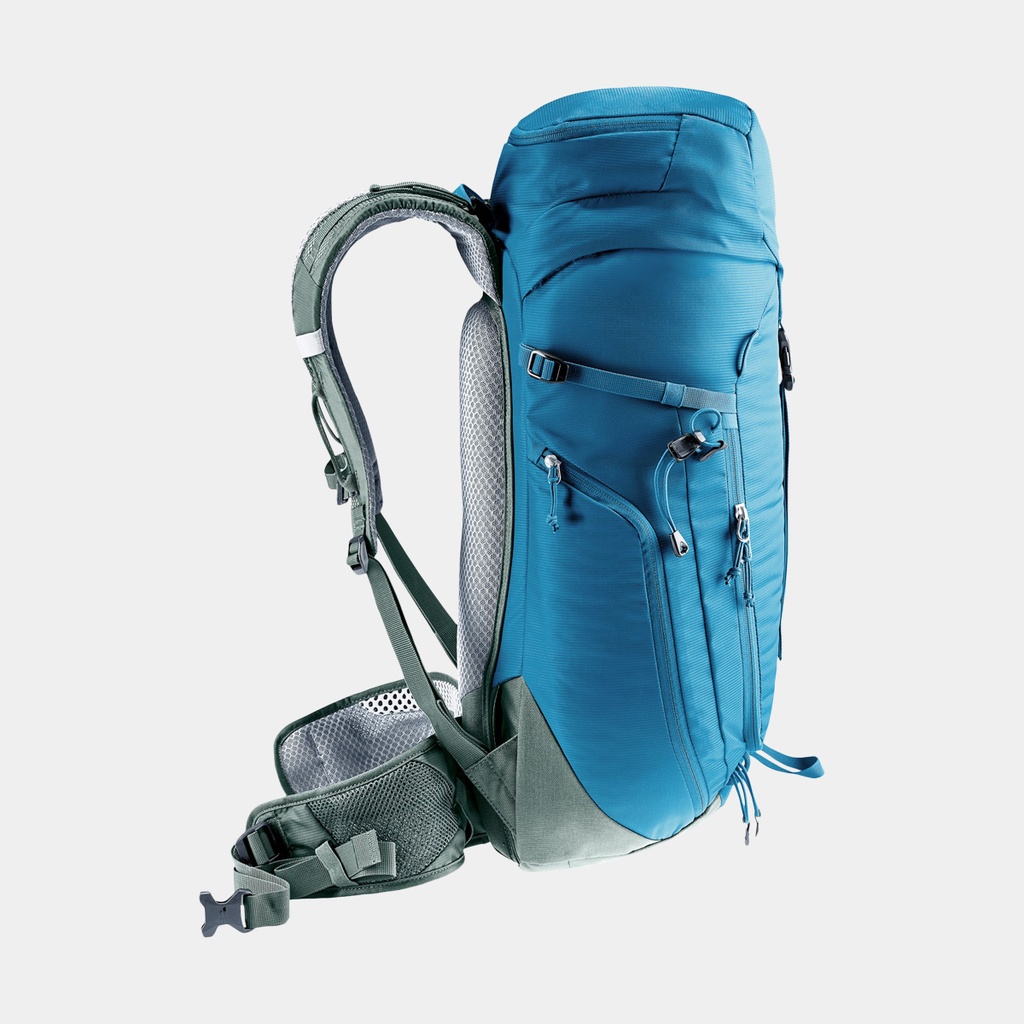Speed Lite 13 Linden Cactus