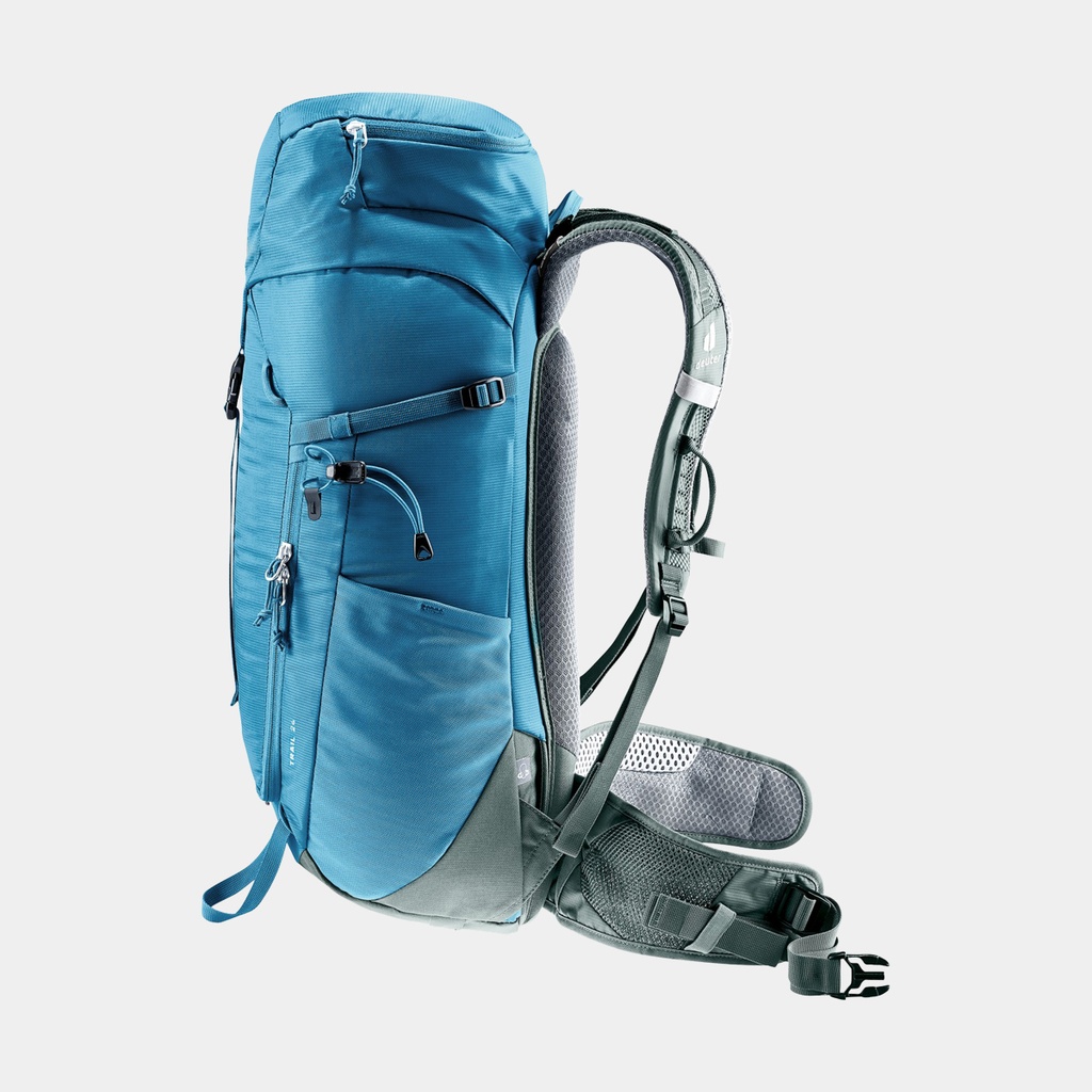 Speed Lite 13 Linden Cactus