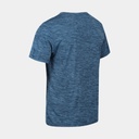 Fingal Edition Seal Grey (copie)