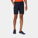 Leesville shorts II Hawthorn (copie)