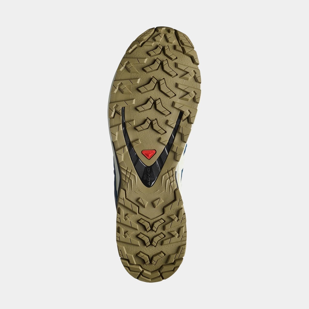 XA Pro 3D V9 Gore-Tex Dark Blue / Icicle / Aloe