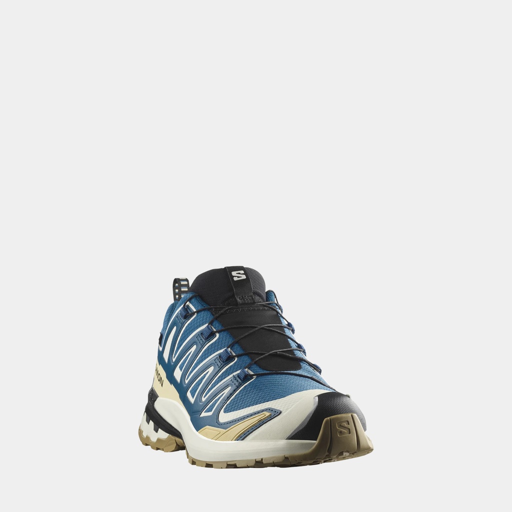 XA Pro 3D V9 Gore-Tex Dark Blue / Icicle / Aloe