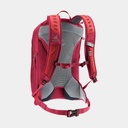 AC Lite 17 Cherry Masala