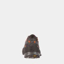 TX4 Carbon / Flame