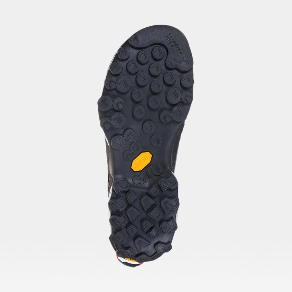 TX4 GTX Women Carbon / Hibiscus