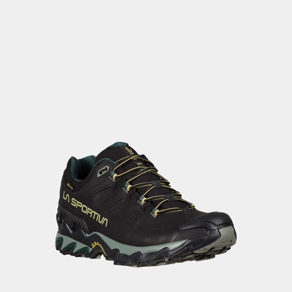 Ultra Raptor II Leather GTX Black / Cedar