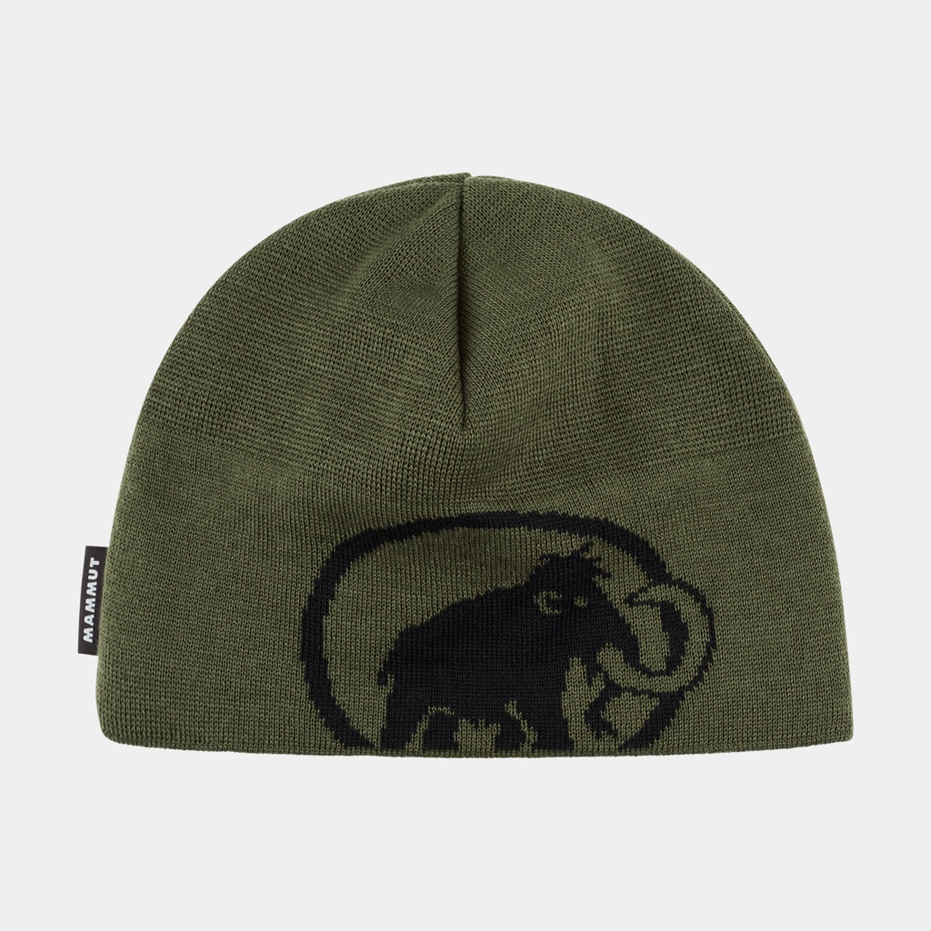 Tweak Beanie Dark Marsh / Black