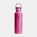 21oz Standard Flex Cap (621ml) Reef