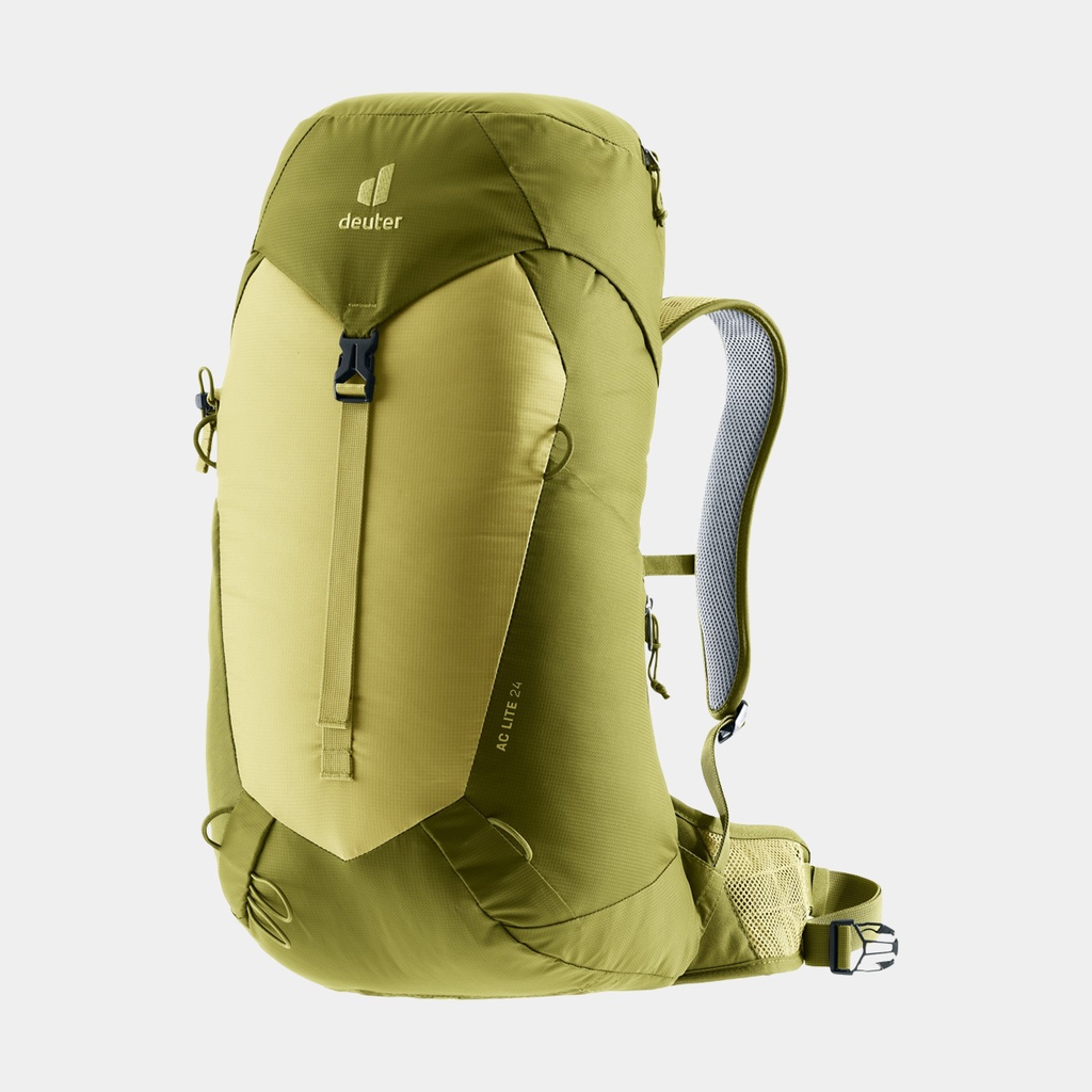 AC Lite 24 Linden Cactus