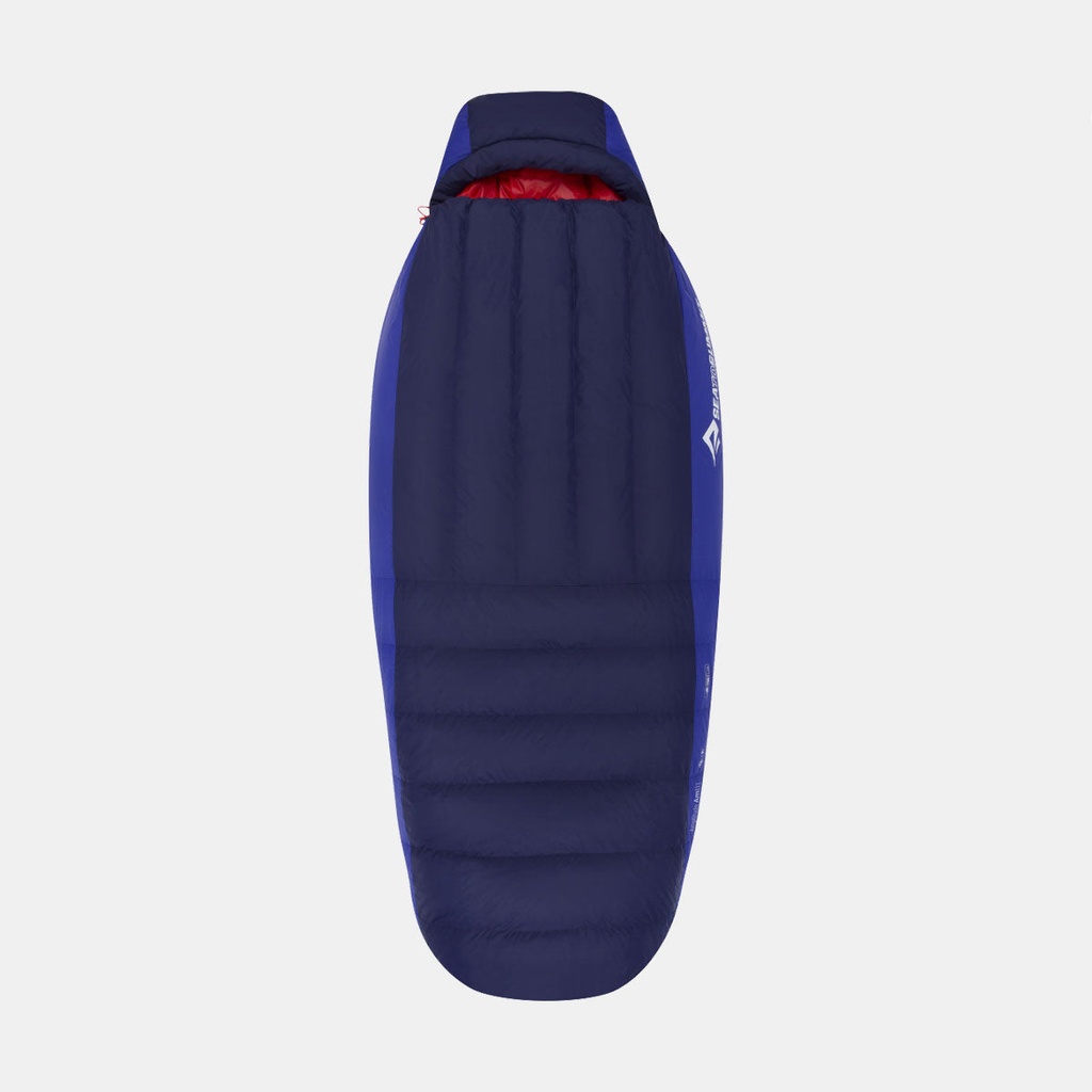 Amplitude AmIII Indigo / Royal