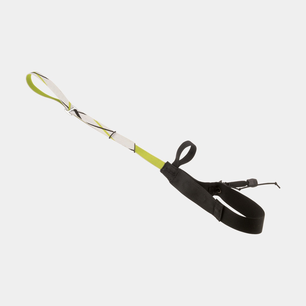 Alpina Leash
