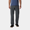 Silver Ridge Utility Convertible Pants Grill