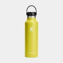 21oz Standard Flex Cap (621ml) Cactus