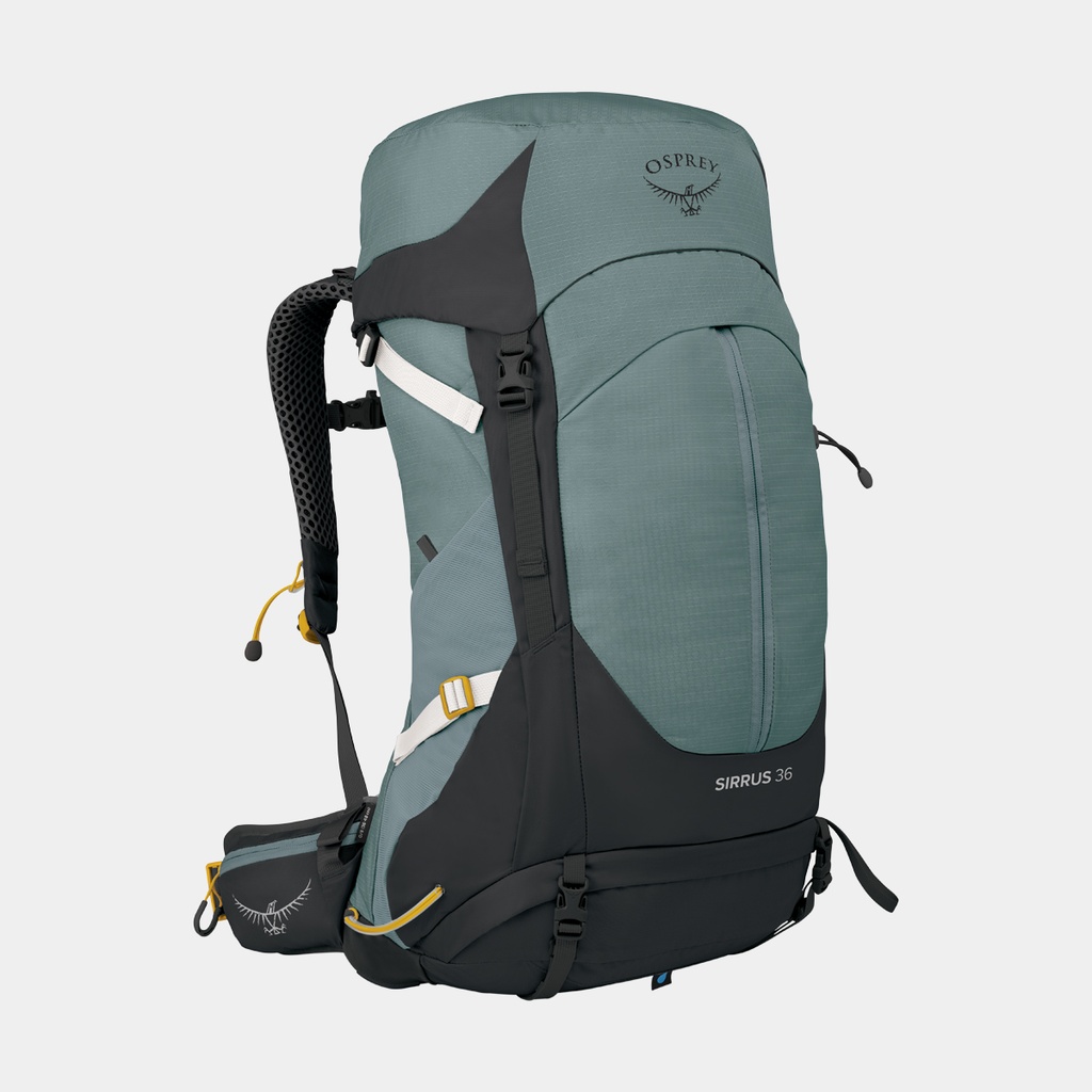 Sirrus 36 Women Succulent Green