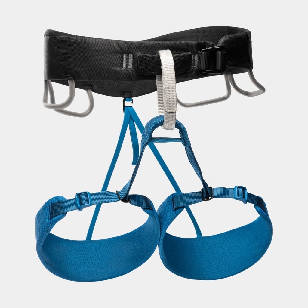 Momentum Harness (2024) Kingfisher