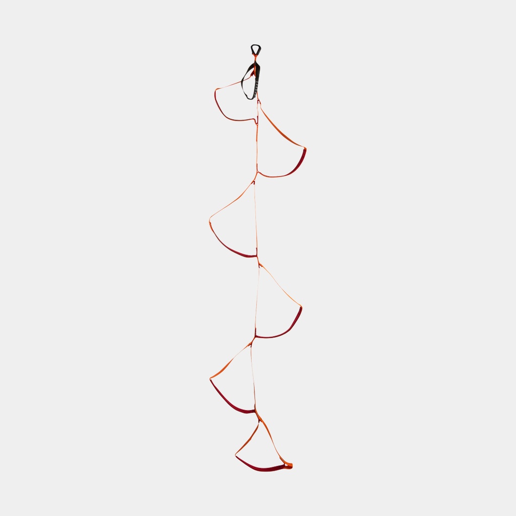 Six-Step Etrier