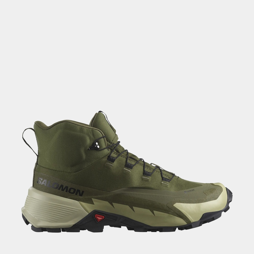 Cross Hike 2 Mid GTX (2022) Olive Night / Moss Gray / Black