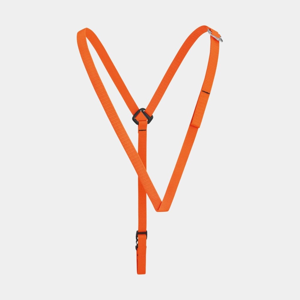 Torse Orange