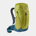 AC Lite 24 (2024) Moss / Arctic