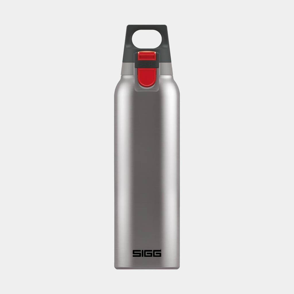 Thermo Flask Hot and Cold ONE 0.5L Brushed
