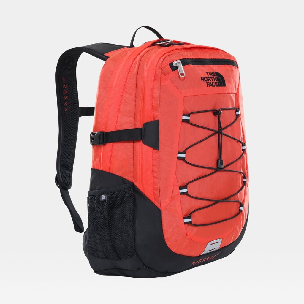 Borealis Classic Flare / TNF Black