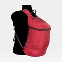 Backpack Plus (2024) Burgundy