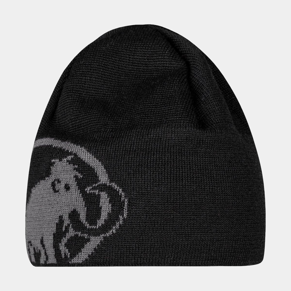 Tweak Beanie Black / Titanium