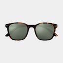 Sun Nautic Polarized Tortoise