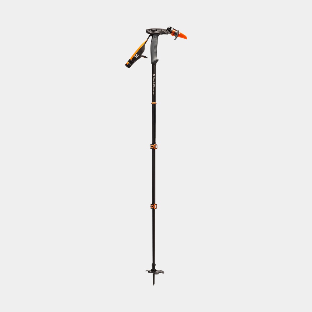 Whippet Ski Pole