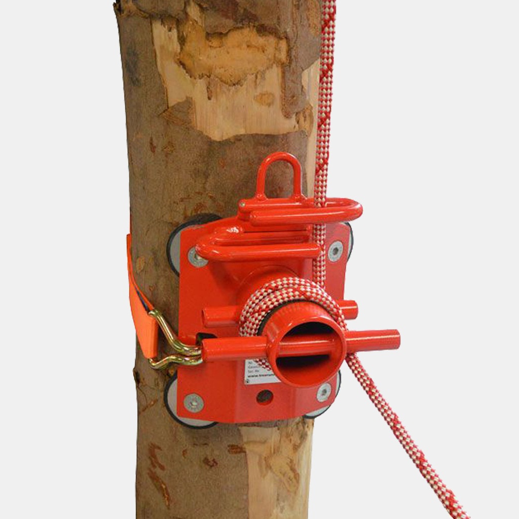Tree Runner
