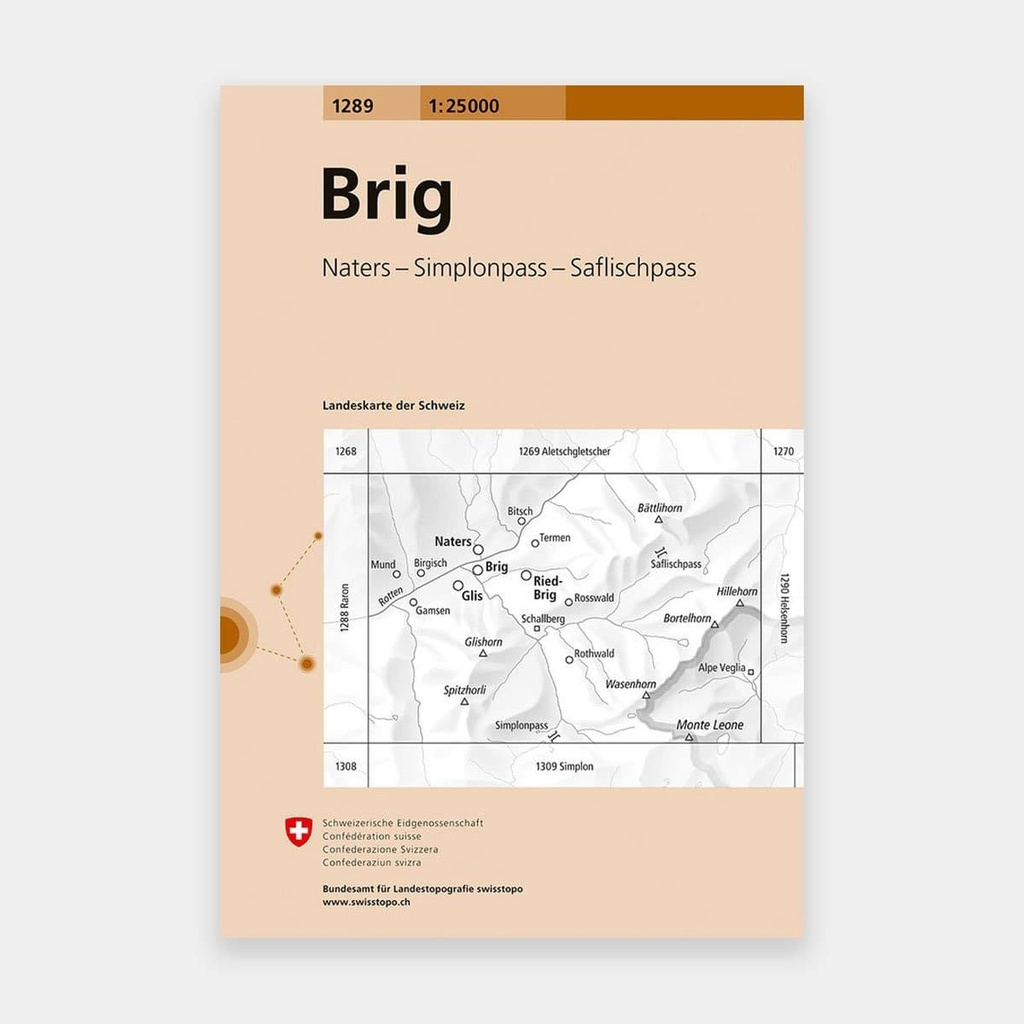 Brig 1/25