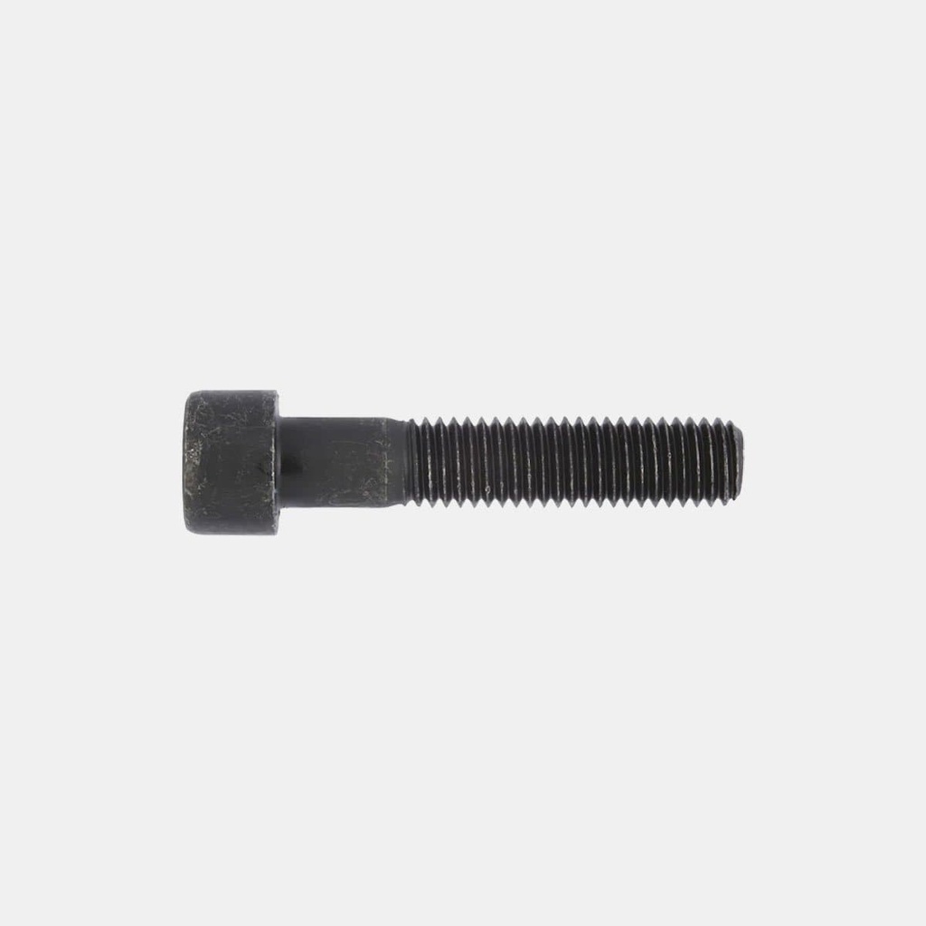 Boulon M10 x 60