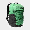 Borealis Optic Emerald / TNF Black