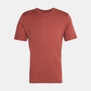 Oasis Short Sleeves Crewe Grape