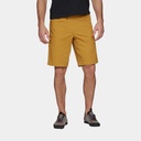 Notion Shorts (2024) Amber
