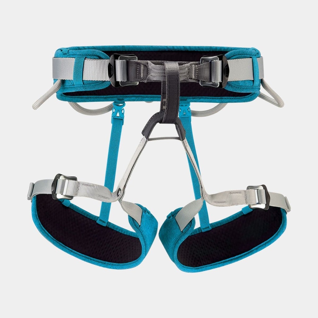 Corax (2024) Turquoise