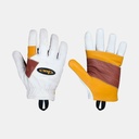 Rappel Gloves