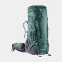 Aircontact Pro 70+15 (2024) Forest / Graphite