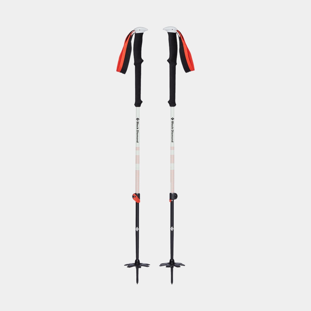 Expedition 2 Ski Poles