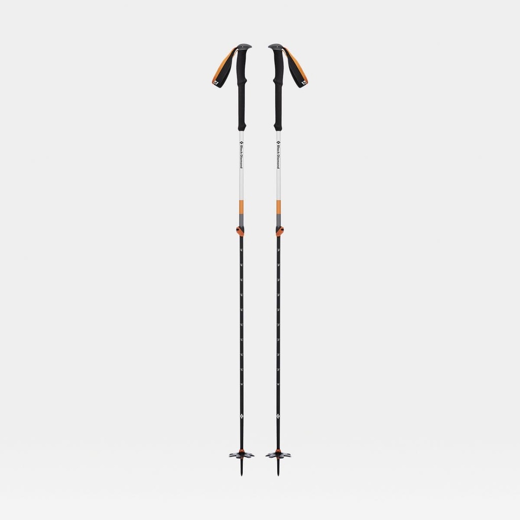 Expedition 2 Ski Poles (2024)