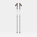 Expedition 2 Ski Poles (2024)