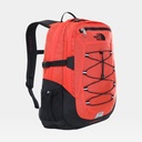 Borealis Classic Flare / TNF Black