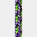 Argiope 11.7mm 1 Epissure