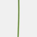 Cordelette Aramid 6mm au mètre Oasis